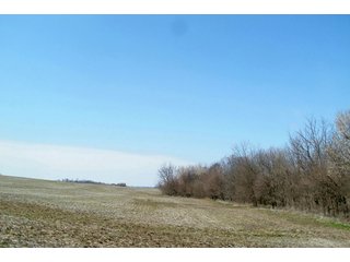 Property photo 2 - LAND AUCTION - 79+/- ACRES IN 3 TRACTS IN WAYNE COUNTY, INDIANA